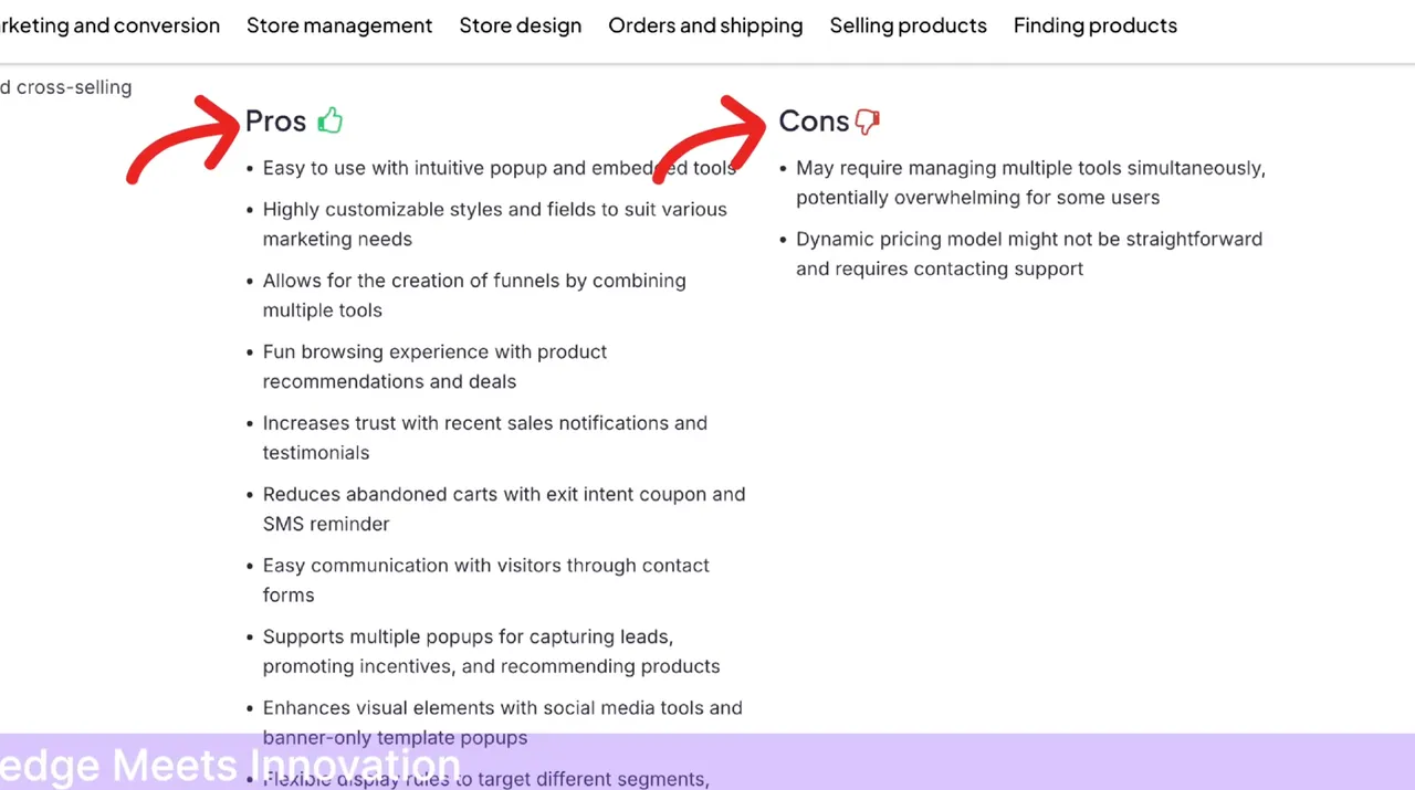 A detailed Pros and Cons section highlighting the strengths and areas for improvement of Zotabox's marketing tools for e-commerce platforms